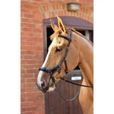 Black leather horse bridle with silver hardware featuring equilibrium net field relief net for micklem tm bridle