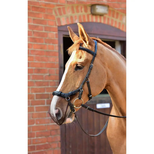 Equilibrium Net Field Relief Net For Micklem TM Bridle-Cob/Horse-Fly Masks-Equilibrium Products-Barnstaple Equestrian Supplies Tack Shop