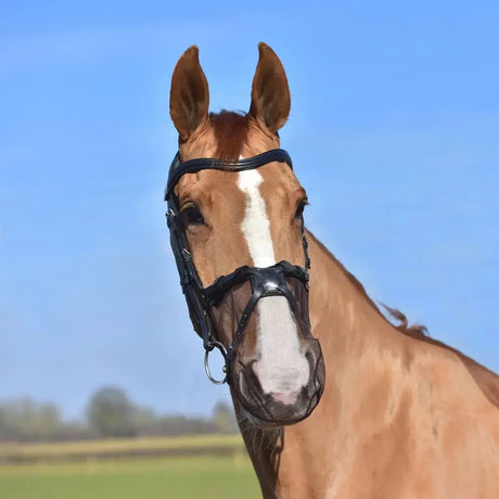 Equilibrium Net Relief Grackle Muzzle Nets-Medium/Large X 2 Nets-Black-Fly Masks-Equilibrium Products-Barnstaple Equestrian Supplies Tack Shop