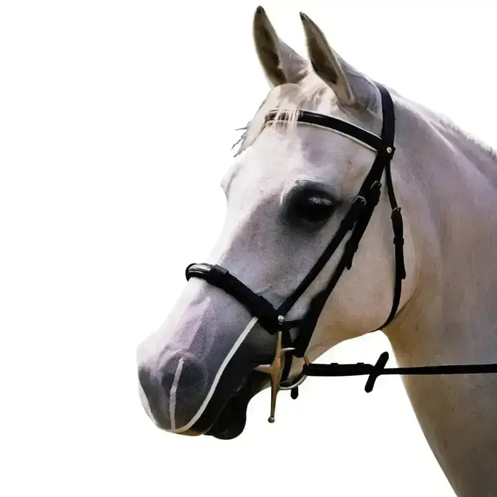 Black leather net relief muzzle horse bridle with silver hardware and white trimmed noseband for relief fly use