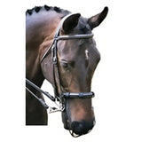Brown horse wearing a silver bridle with black leather straps featuring equilibrium net relief muzzle fly net relief muzzle fly
