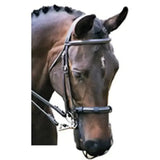 Brown horse wearing silver bridle with black noseband modeling equilibrium net relief muzzle fly for fly protection