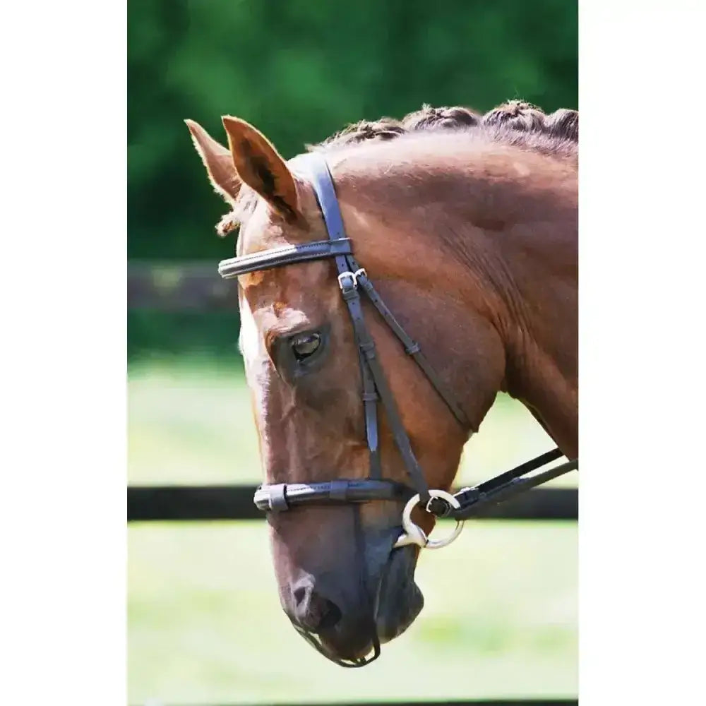 A sleek black leather horse bridle with silver hardware shown with equilibrium net relief net relief muzzle fly features