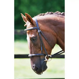 A sleek black leather horse bridle with silver hardware shown with equilibrium net relief net relief muzzle fly features