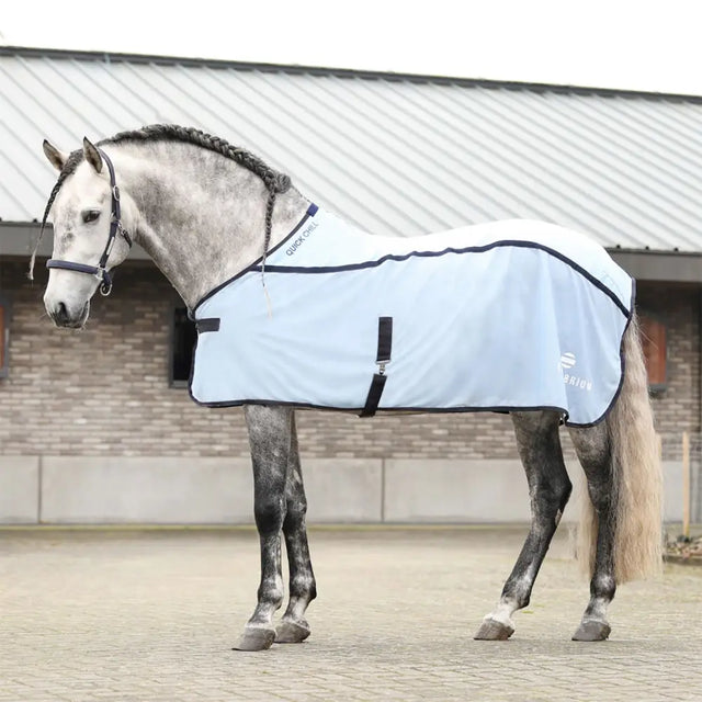 Light blue equilibrium quick chill horse blanket with black trim and adjustable straps chill rug light for horses