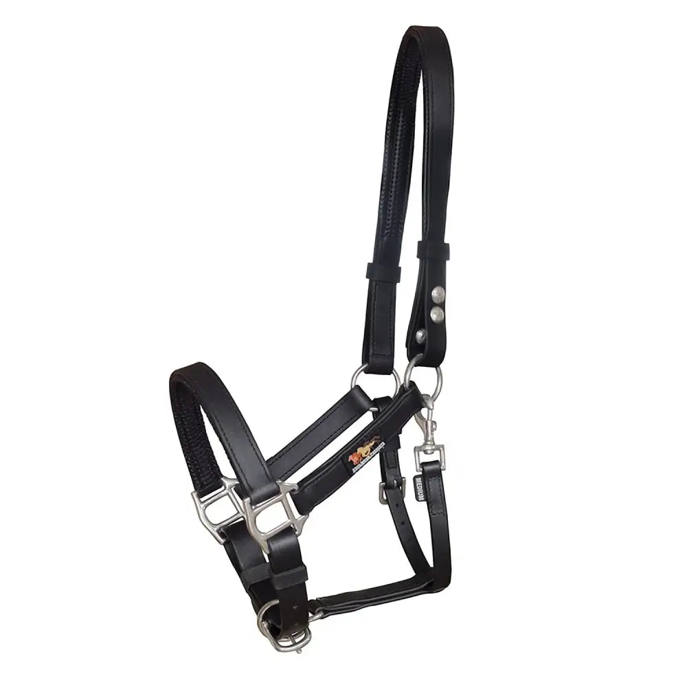 Equilibrium Stella Head Collars Safety Headcollars Black Small Headcollars & Leadropes Barnstaple Equestrian Supplies