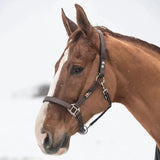 Equilibrium Stella Head Collars Safety Headcollars Black X Small Field Safe Headcollars