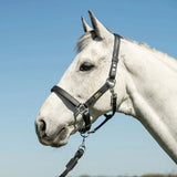 Equilibrium Stella Head Collars Safety Headcollars Black Small Headcollars & Leadropes Barnstaple Equestrian Supplies