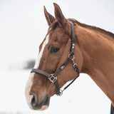 Equilibrium Stella Head Collars Safety Headcollars Black Small Headcollars & Leadropes Barnstaple Equestrian Supplies