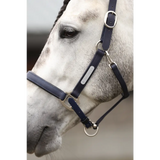 Equilibrium Stellar All Weather Headcollar Black Small Field Safe Headcollars