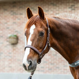 Equilibrium Stellar All Weather Headcollar Brown Small Field Safe Headcollars
