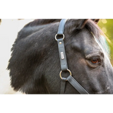 Equilibrium Stellar All Weather Headcollar Black Small Field Safe Headcollars