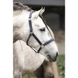 Equilibrium Stellar All Weather Headcollar Black Small Field Safe Headcollars