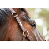 Equilibrium Stellar All Weather Headcollar Black Small Field Safe Headcollars