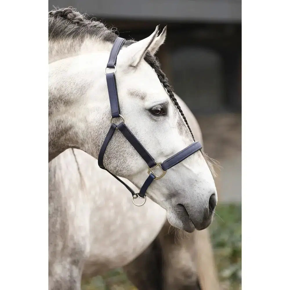 Equilibrium Stellar Headcollar Navy Large Navy Barnstaple Equestrian Supplies