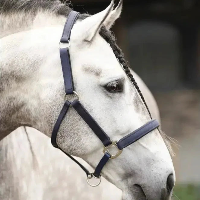 Equilibrium Stellar Headcollar Navy Large Navy Field Safe Headcollars