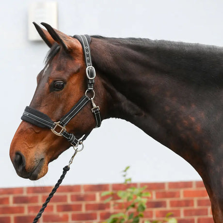 Black leather equilibrium stellar style headcollar with silver hardware and white stitching for horses