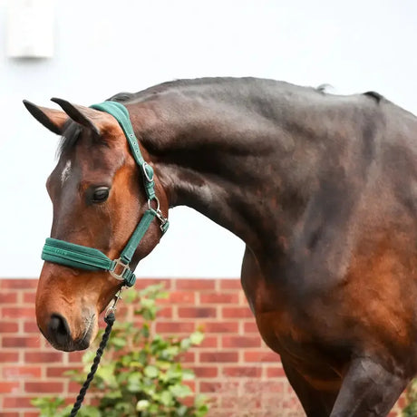 Equilibrium Stellar Style Headcollar Green XSMALL GREEN Headcollars & Lead Ropes