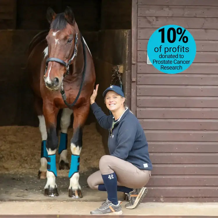 A brown horse with a white blaze wearing equilibrium tri-zone brushing boots black with blue leg wraps