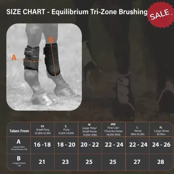 Equilibrium Tri-Zone Brushing Boots Black/Royal Blue X Small Black/Royal Blue Brushing Boots