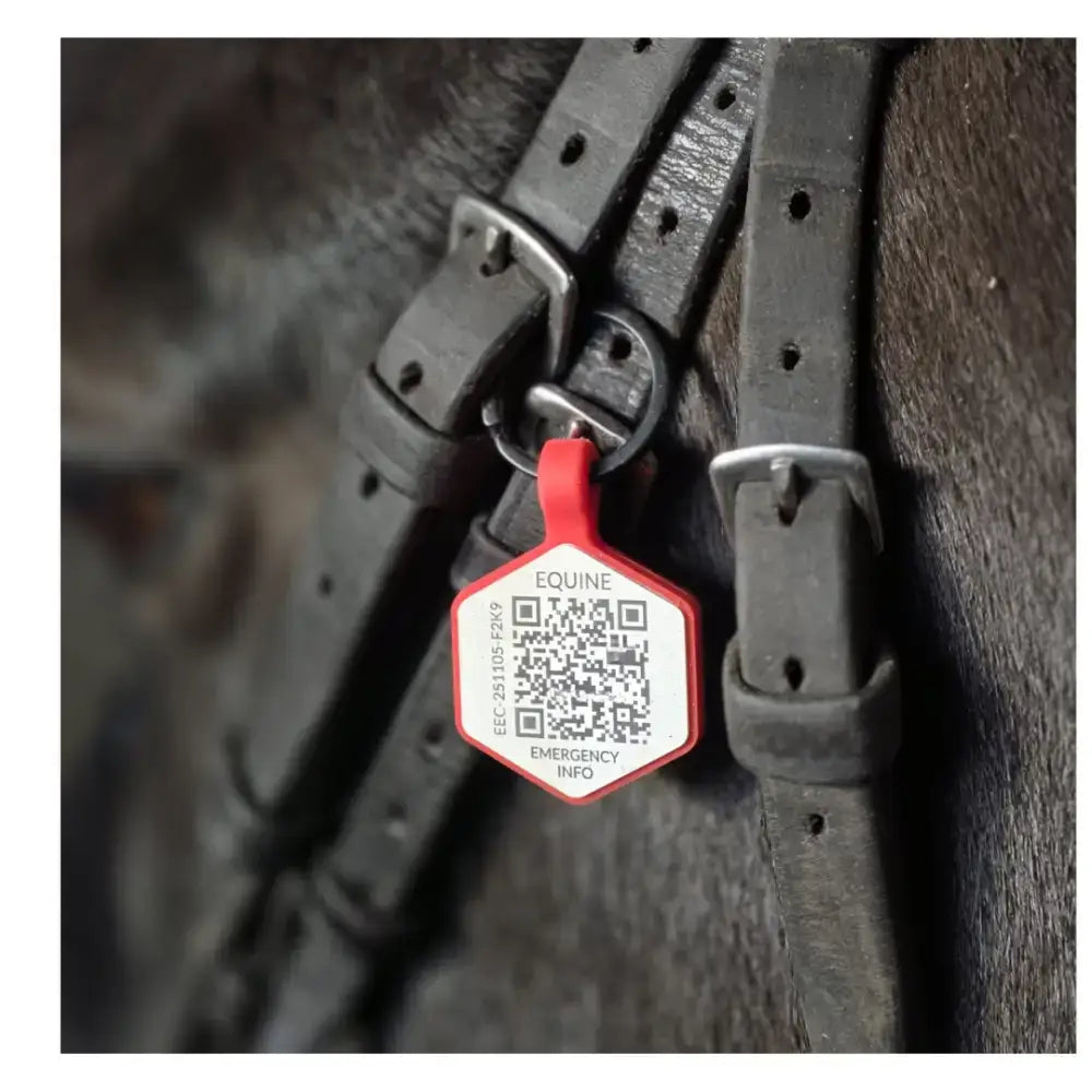 Equine Emergency Tag (EnduroTag) Small Emergency ID Tag