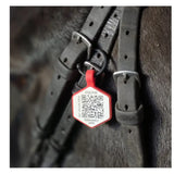 Equine Emergency Tag (EnduroTag) Small Emergency ID Tag