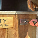 Equine QR Mount 