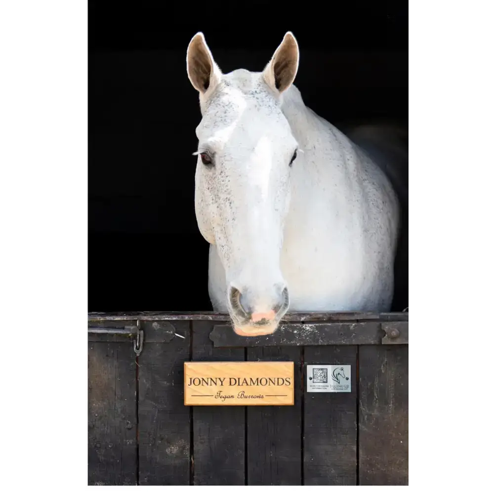 Equine QR Mount 