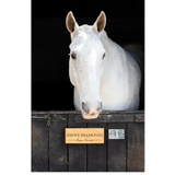 Equine QR Mount 