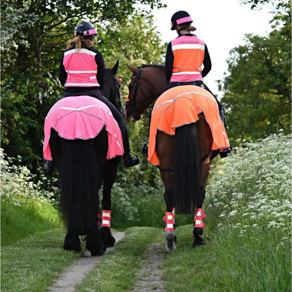 Equisafety Breathable Mesh Fly Quarter Sheets Orange X Small Pony Exercise Sheets Barnstaple Equestrian Supplies