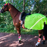 Bright neon green equisafety breathable mesh horse blanket with reflective stripes snug over back and sides mesh fly quarter sheets