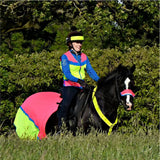 Equisafety Breathable Mesh Quarter Sheet Pink/Yellow COB Pink/Yellow Barnstaple Equestrian Supplies