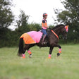 Equisafety Breathable Mesh Quarter Sheet Pink/Orange COB Pink/Orange Exercise Sheets