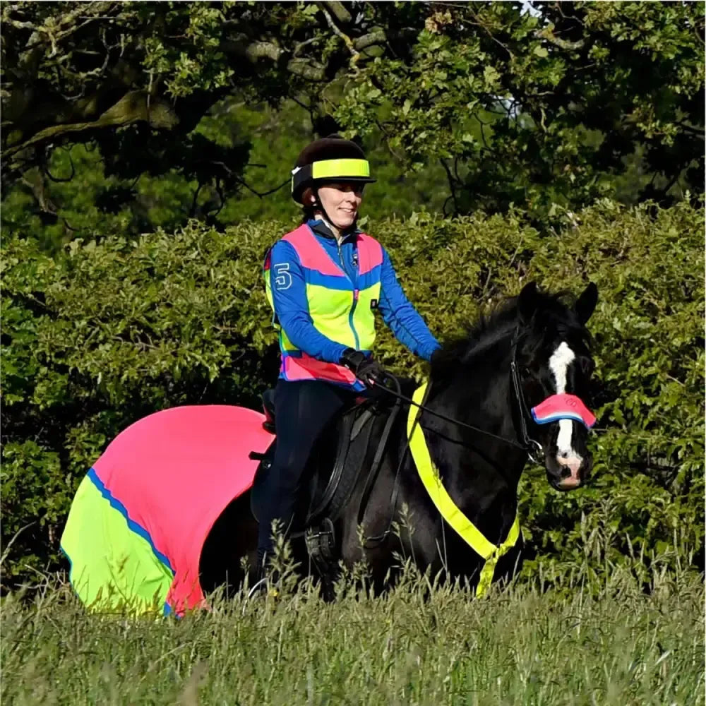Equisafety Breathable Mesh Quarter Sheet Pink/Yellow COB Pink/Yellow Exercise Sheets