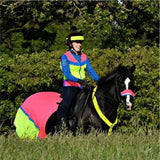 Equisafety Breathable Mesh Quarter Sheet Pink/Yellow COB Pink/Yellow Exercise Sheets