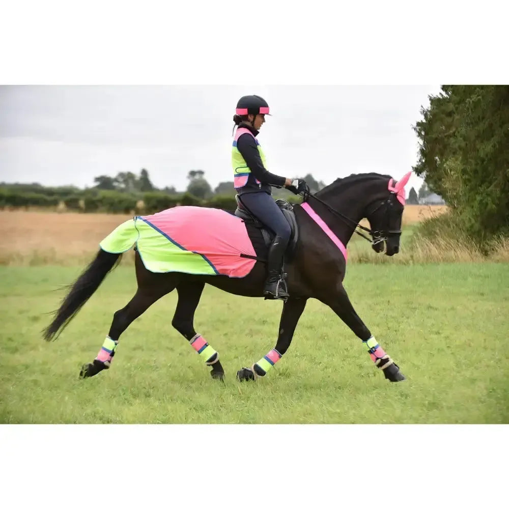 Equisafety Breathable Mesh Quarter Sheet Pink/Yellow COB Pink/Yellow Exercise Sheets