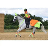 A white horse wearing equisafety hi-vis riding gilet yellow orange with matching safety blanket and leg wraps