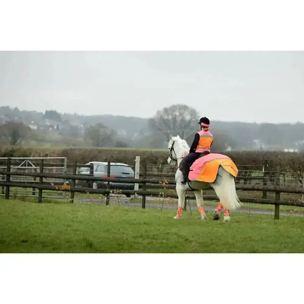 A white horse wearing an equisafety hi-vis waterproof quarter sheet in pink orange with matching leg wraps and vest
