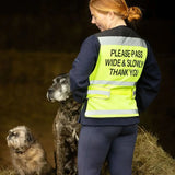 Equisafety Hi Viz Waistcoats Pass Wide & Slowly For Air Jackets Pink Small Hi-Vis Barnstaple Equestrian Supplies