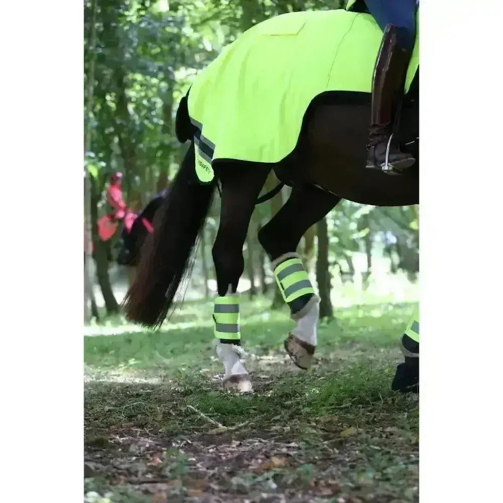 Bright neon green reflective wraparound winter exercise rug with black trim and matching leg wraps made from performance fabric
