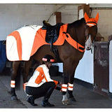 Brown horse wearing an orange and white reflective equisafety hi viz wraparound winter exercise rug with black straps