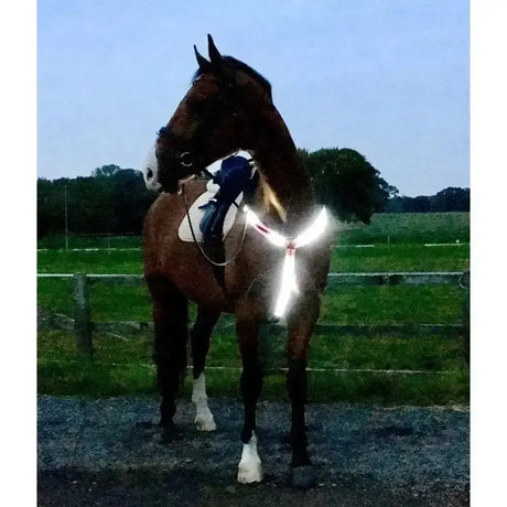 Equisafety Led Rechargeable Breastplate Pink 14 HH - 17.2 HH Pink 5 Point Breastplates