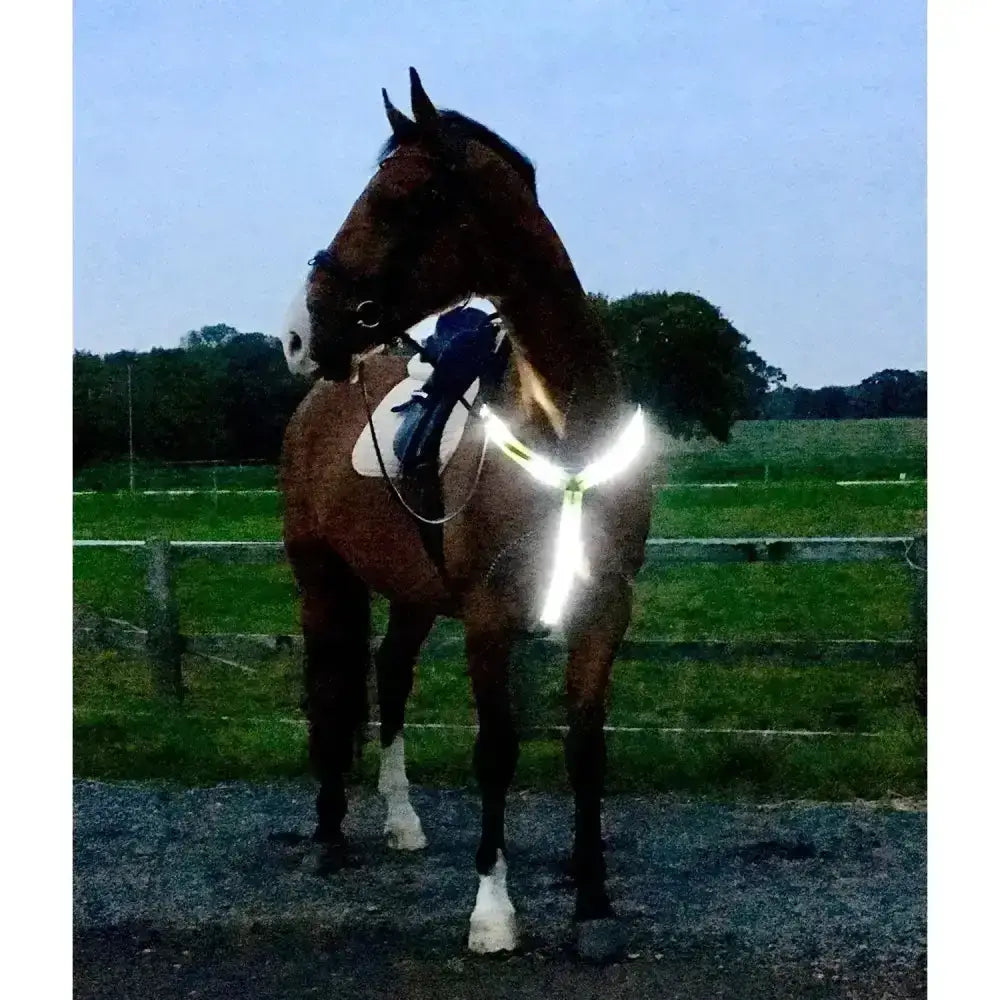 Brown horse wearing a reflective equisafety led rechargeable breastplate yellow with white leg markings