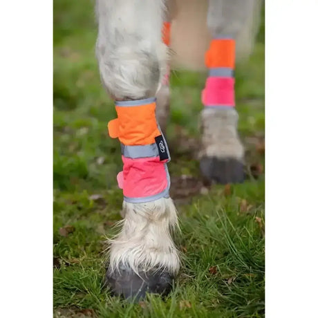 Equisafety leg boots in bright orange and pink with gray trim designed for horse safety and visibility