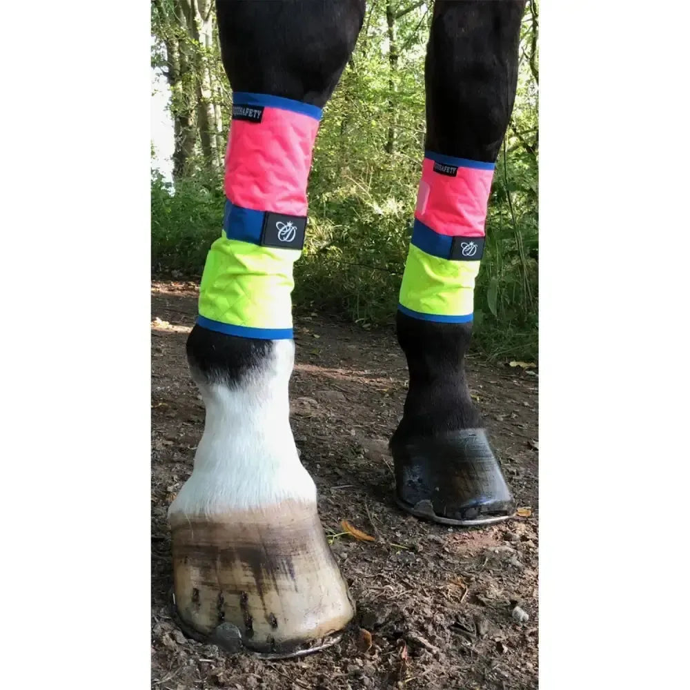 Equisafety Leg Boots Pink/Yellow HORSE Pink/Yellow Leg Wraps