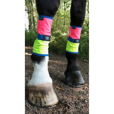 Equisafety Leg Boots Pink/Yellow HORSE Pink/Yellow Leg Wraps