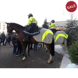 Equisafety Mercury Hi Viz Waterproof Exercise Sheets Orange Pony Outdoor Coats