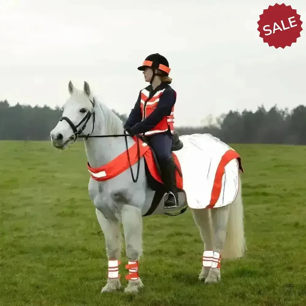 Equisafety Mercury Hi Viz Waterproof Exercise Sheets Orange Pony Outdoor Coats