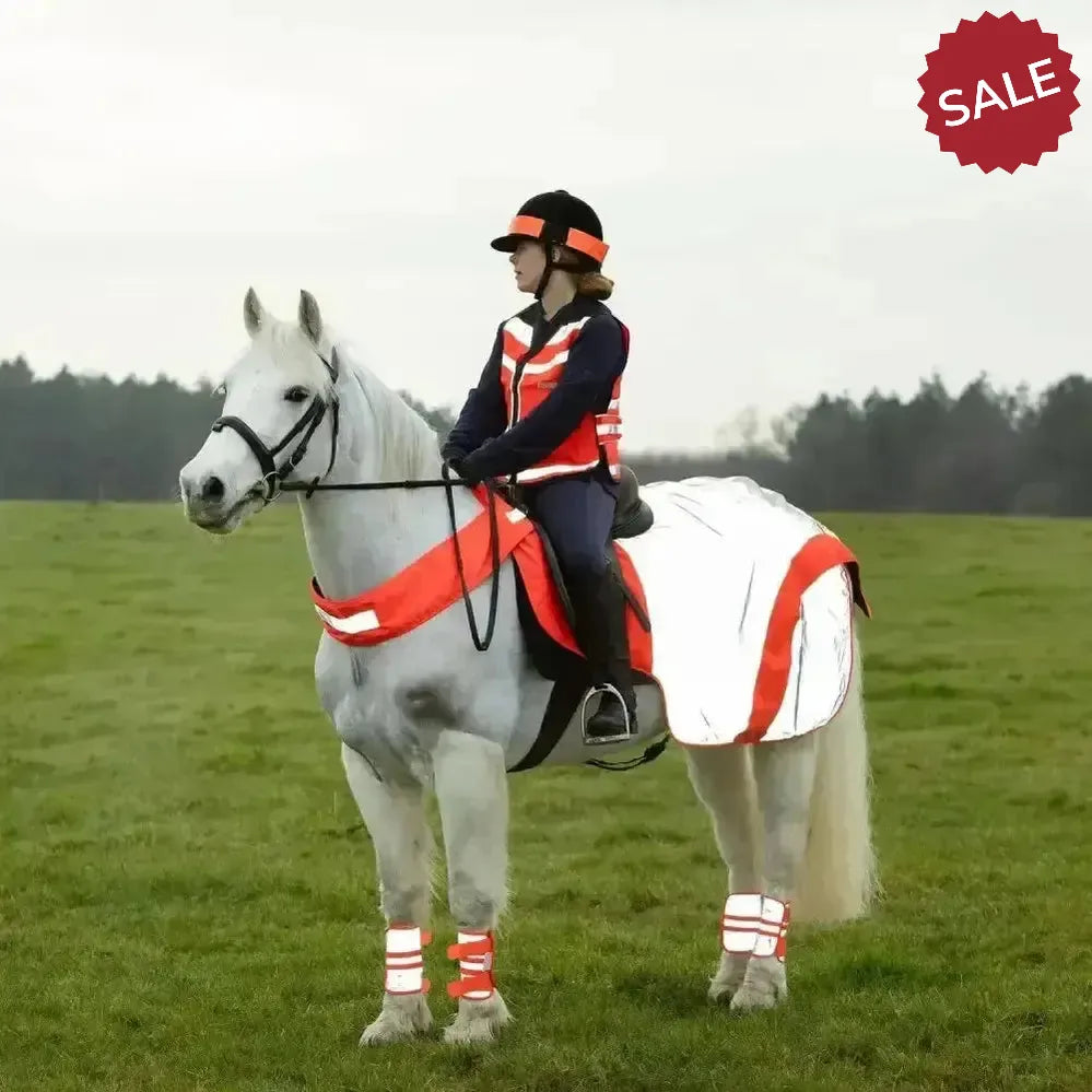 Equisafety Mercury Hi Viz Waterproof Exercise Sheets Orange Pony Outdoor Coats