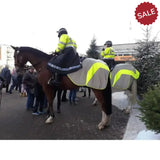 Equisafety Mercury Hi Viz Waterproof Exercise Sheets Pink Pony Outdoor Coats